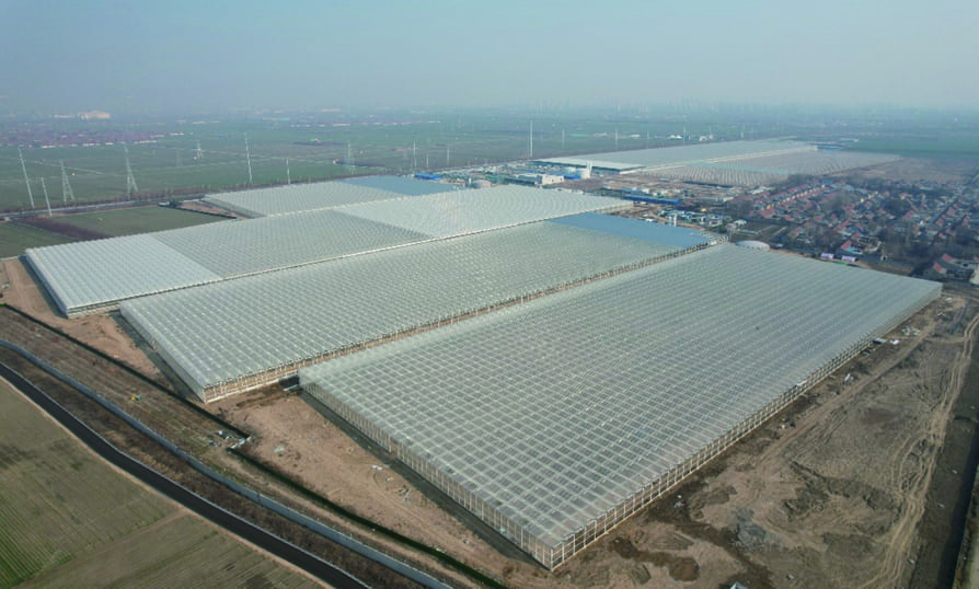 2022 Shandong Zibo 1&2&4